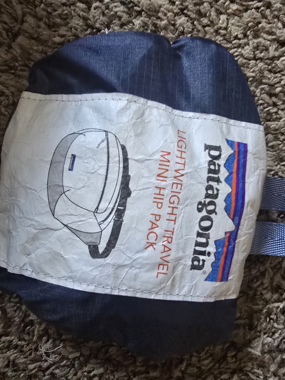 Patagonia Navy and White Lightweight Mini Hip Pack